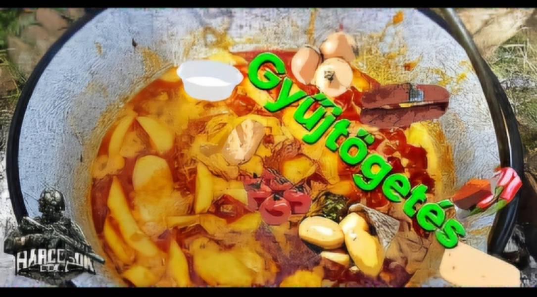 GYŰJTÖGETÉS 